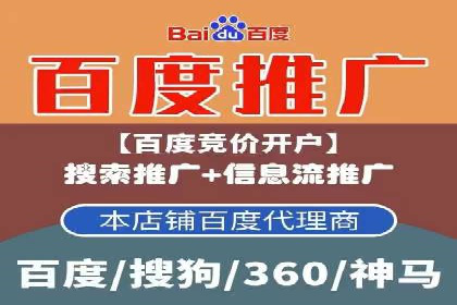 百度竞价推广成功案例：快速提升品牌知名度